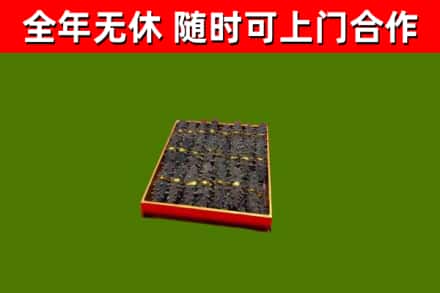 岚山区回收海参